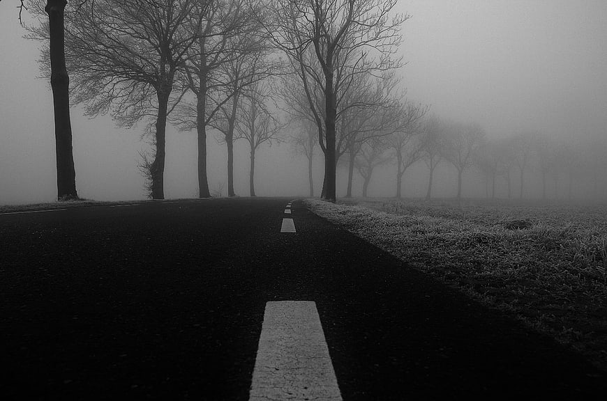 Foggy black and white road with bare trees in winter