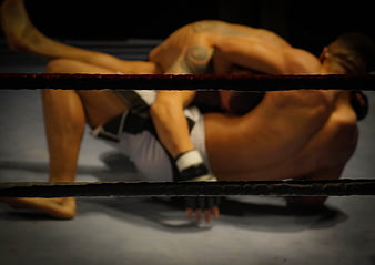 MMA fighters grappling in a boxing ring viewed through ropes