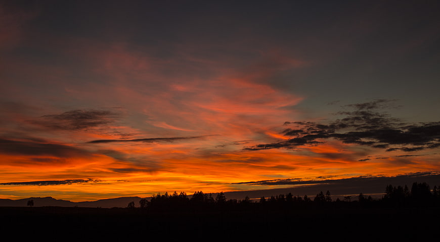 Dramatic Orange Sunset Sky Over Silhouetted Forest Landscape