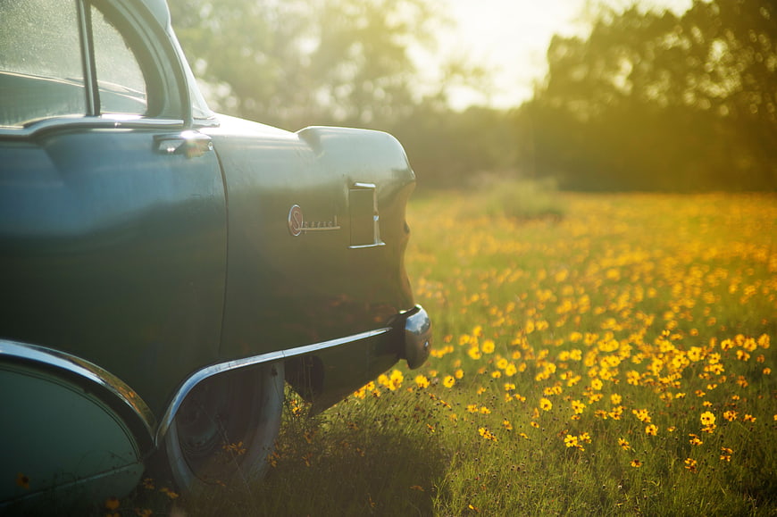 Vintage Green Car in a Field of Yellow Wildflowers