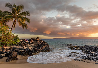 Tropical Sunset Beach with Palm Tree and Rocky Coastline