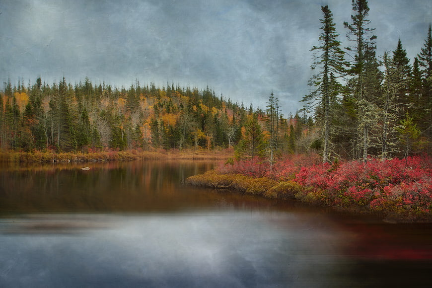 Moody Autumn Lake Landscape with Vibrant Red Foliage and Misty Water