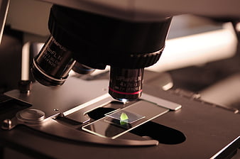 Close-up of microscope lens examining a green leaf sample