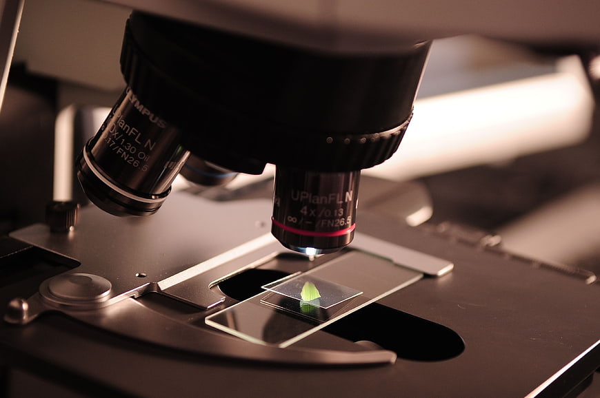 Close-up of microscope lens examining a green leaf sample