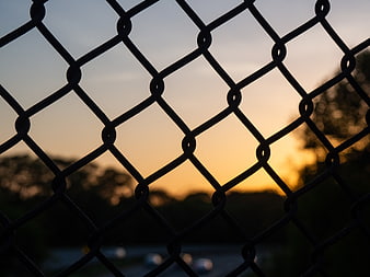 Chain link fence silhouette against golden sunset sky