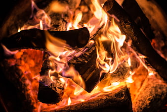 Close-up of burning logs in a warm fire