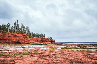 Red sandstone cliffs and tidal flats coastal landscape