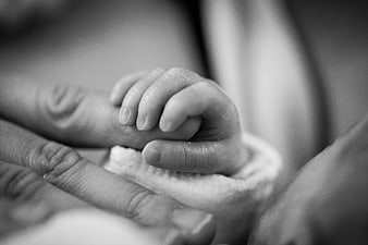 Black and white close-up of baby hand holding adult finger