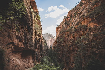 Red Rock Canyon Landscape with Blue Sky and Green Trees
