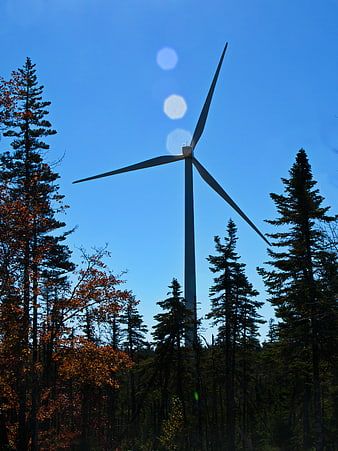 Wind Turbine Silhouette Against Blue Sky in Autumn Forest