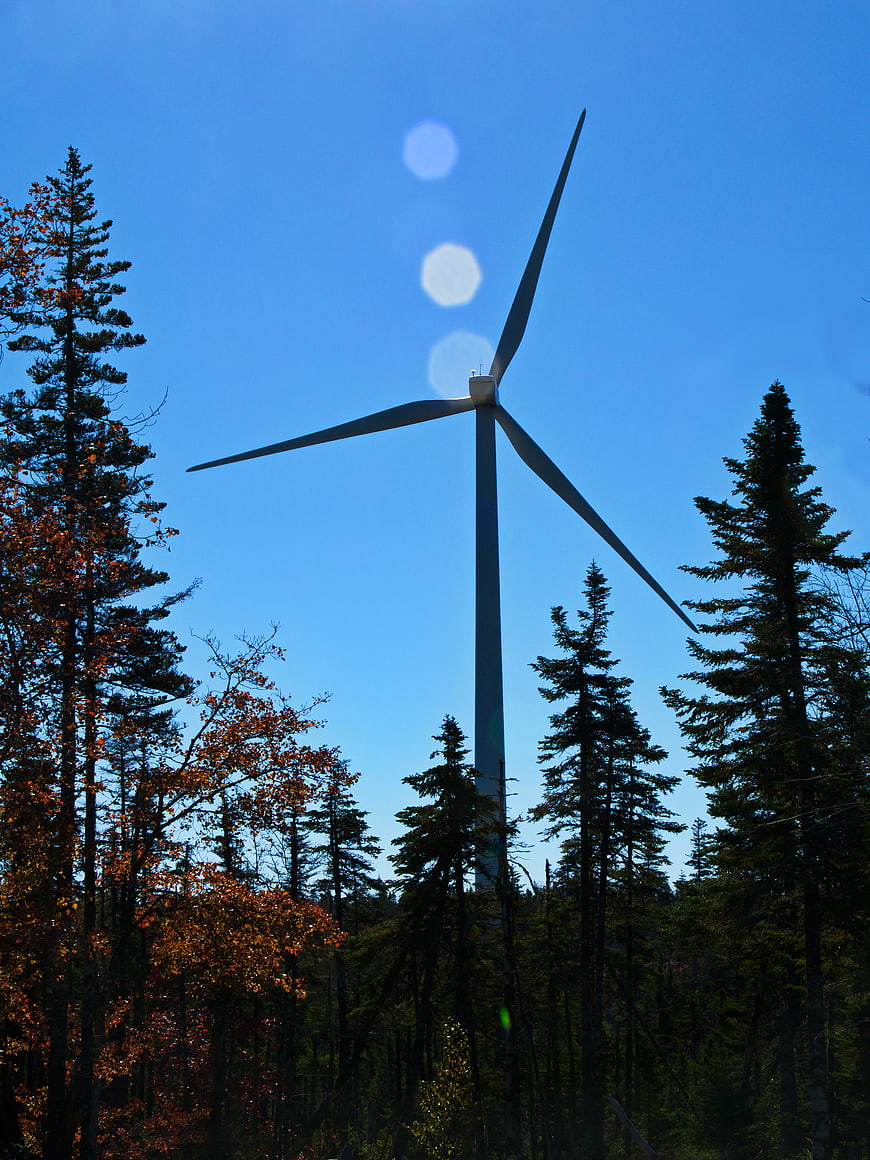 Wind Turbine Silhouette Against Blue Sky in Autumn Forest