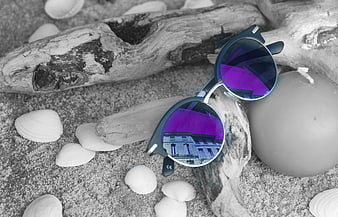 Purple Sunglasses on Driftwood and Seashells