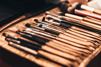 Professional makeup brushes in a gold leather roll case