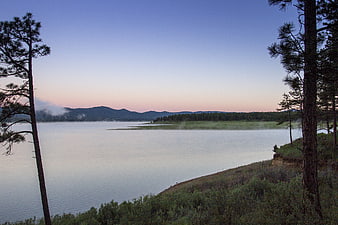 Serene Lake Landscape at Dawn with Pine Trees and Mist