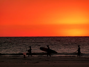 Silhouettes of surfers walking on beach at sunset