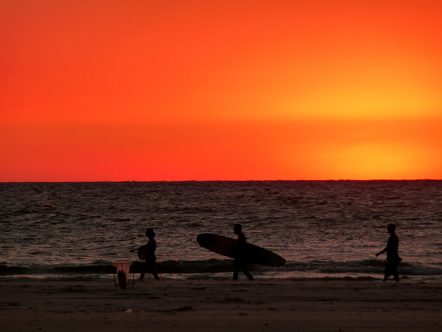 Silhouettes of surfers walking on beach at sunset