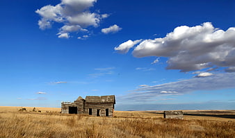 Abandoned wooden barn in golden prairie field under blue sky