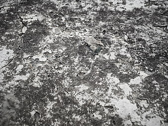 Close-up of weathered concrete texture with peeling paint