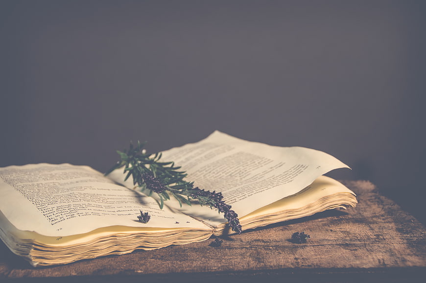 Vintage Open Book with Lavender on Rustic Wood