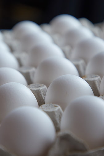 Close-up of fresh white eggs in a cardboard carton