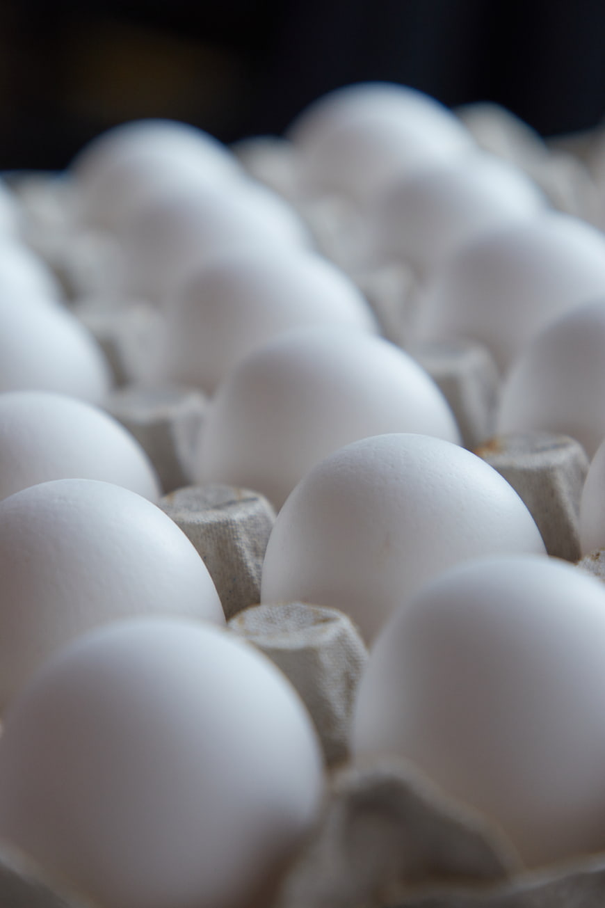 Close-up of fresh white eggs in a cardboard carton