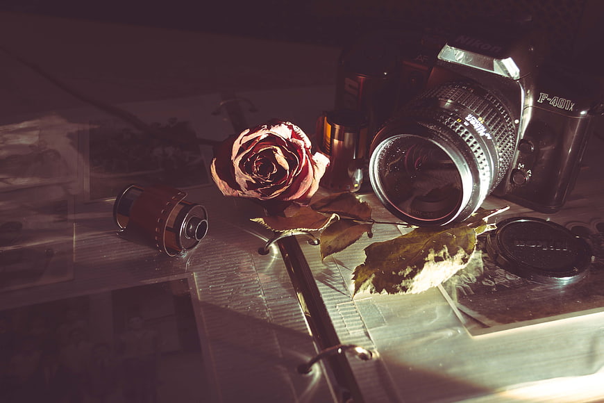Vintage Nikon Film Camera with Dried Rose and Photo Album