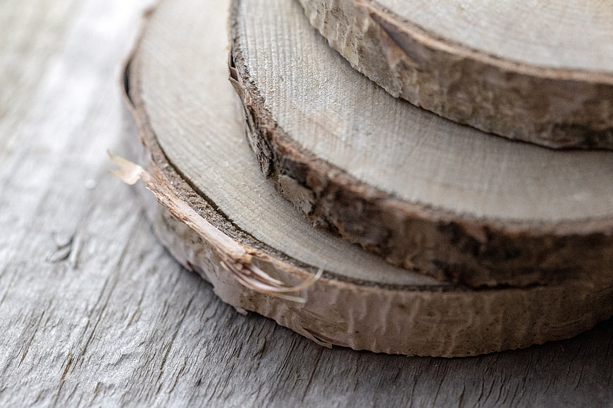 Close-up of rustic birch wood slices on weathered surface