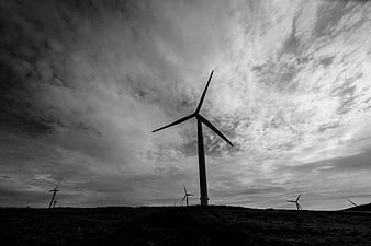 Black and white silhouette of wind turbines in a field