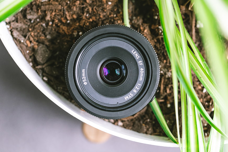 Camera lens resting in potted plant soil