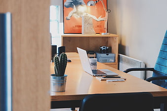 Modern wooden desk with laptop and cactus plant
