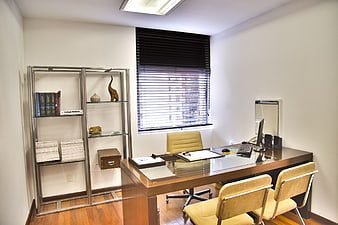 Modern Office Interior with Wooden Desk and Bookshelf