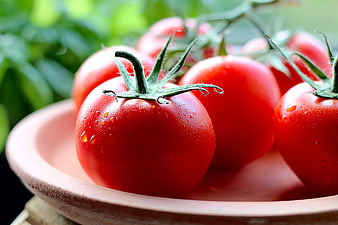 Fresh Red Tomatoes with Water Droplets in Wooden Bowl