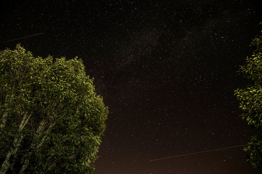 Starry Night Sky with Milky Way and Trees