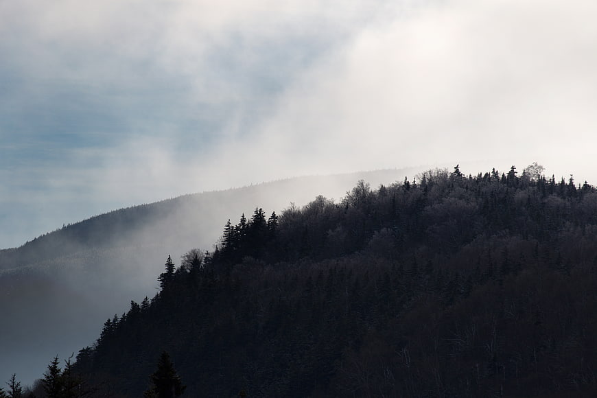 Misty mountain ridge with dark forest and foggy sky