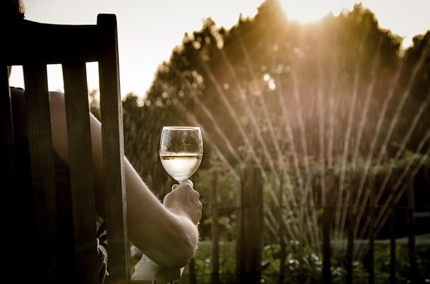 Woman drinking white wine in garden with sprinkler at sunset