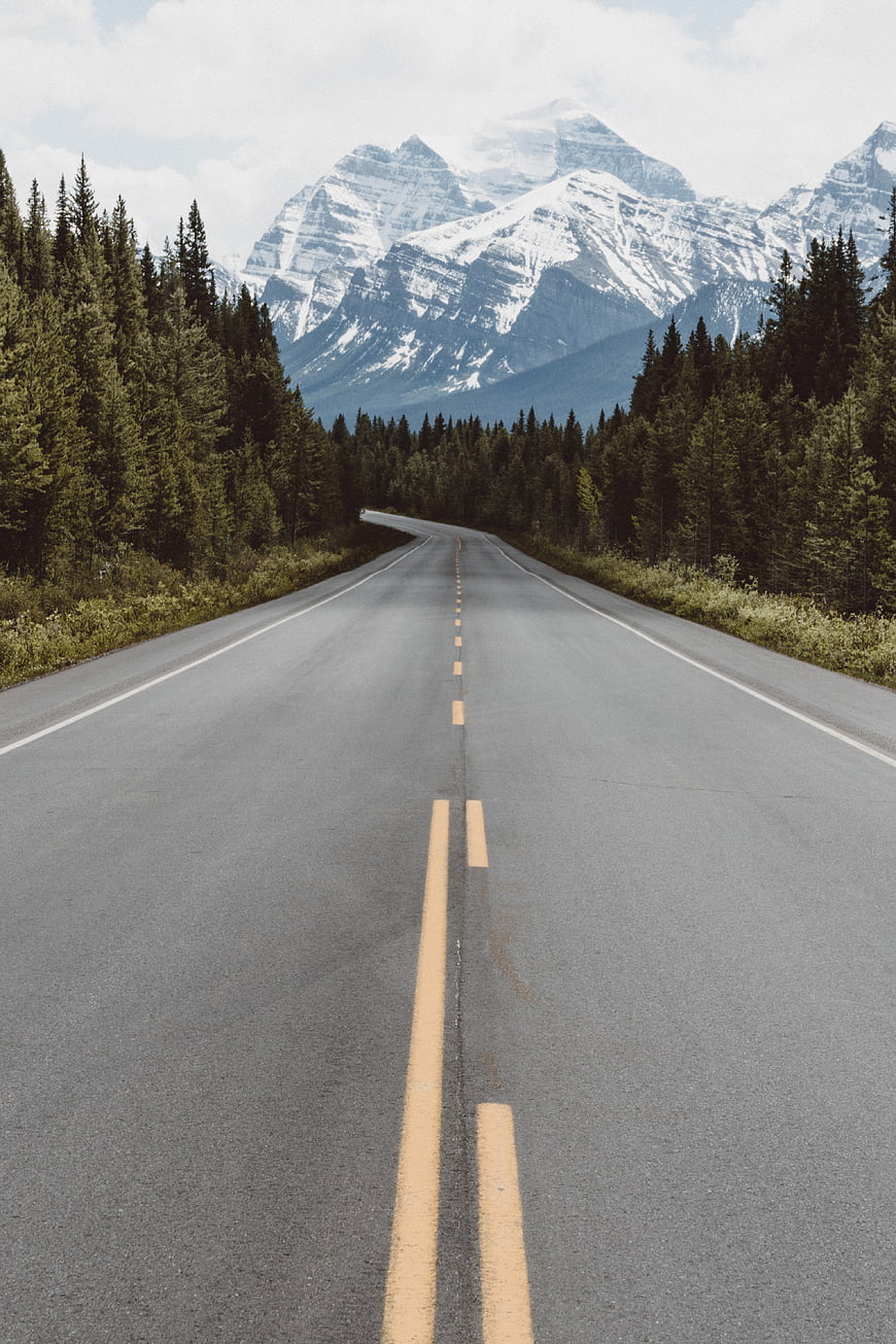 Asphalt road leading to snow-capped mountains through pine forest