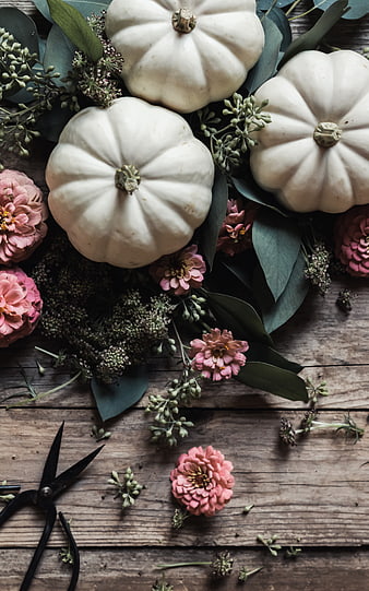 Rustic white pumpkins and pink flowers flat lay on wood