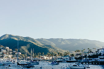 Catalina Island Marina with Mountains and Boats