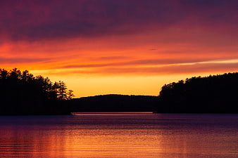 Vibrant Sunset Over Lake with Silhouetted Forest