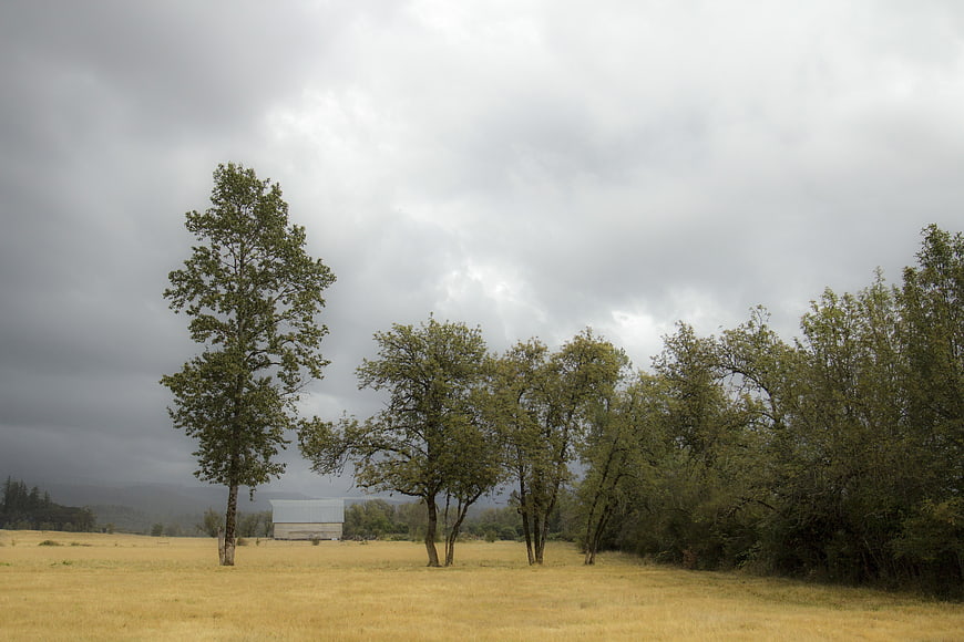 Rural landscape with trees and barn under cloudy sky