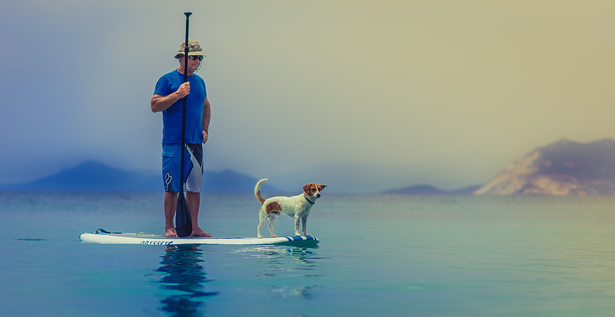 Man and Dog Stand on Paddleboard in Calm Ocean