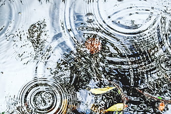 Raindrops creating ripples in a puddle with fallen leaves