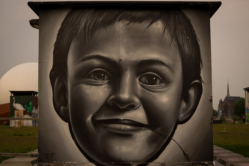 Realistic Black and White Mural of a Boy's Face