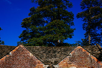 Old brick roof with slate tiles against blue sky and trees