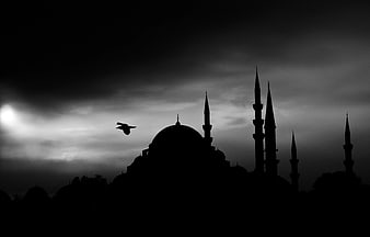 Silhouette of Mosque with Minarets and Flying Bird