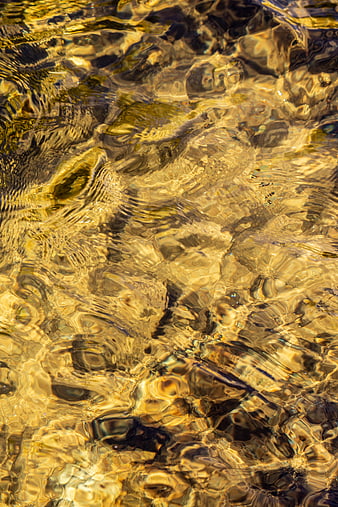 Golden Sunlight Ripples on Clear Water Surface Texture
