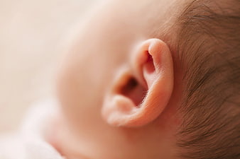 Close-up of a sleeping baby's ear with soft focus