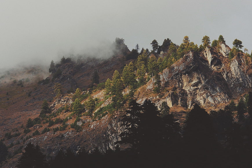 Misty Mountain Ridge with Pine Trees and Fog