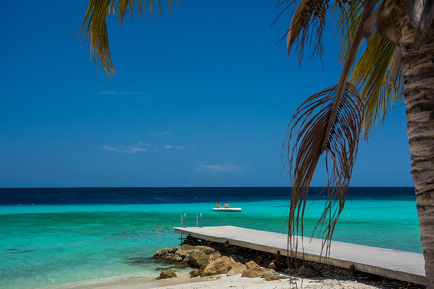 Tropical beach with turquoise water, wooden dock, and palm tree