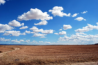Vast brown plowed field under bright blue sky with clouds